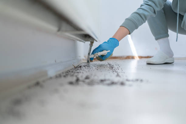 Best Best Pest Control Companies  in Martinez, GA